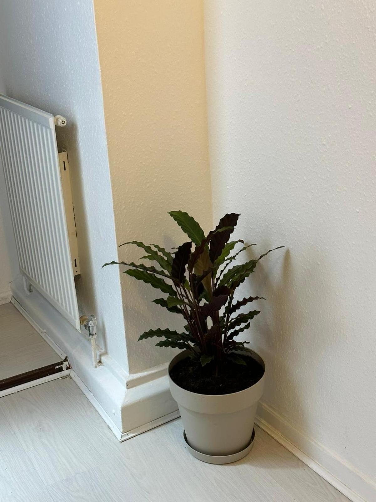 3 Bedroom King Cross Station City Centre London Kültér fotó